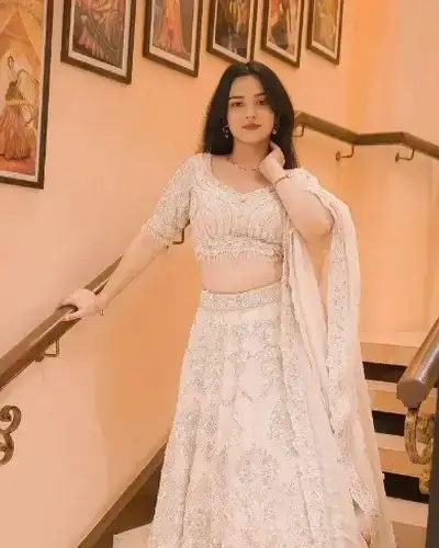 Escort Service In Phagwara